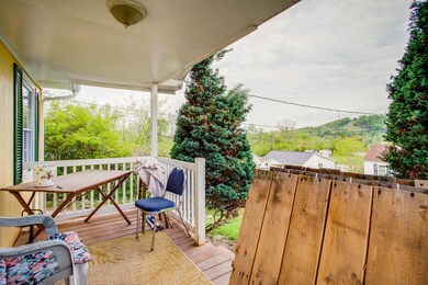 602 Orleans St, Johnson City, TN 37601 - photo 4