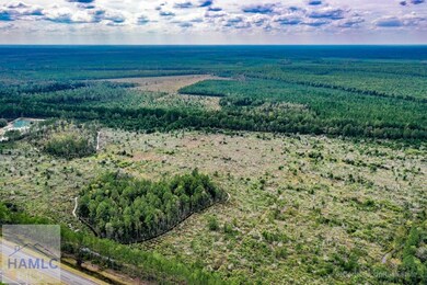 0 Memorial Dr unit 163971, Waycross, GA 31501 - photo 2