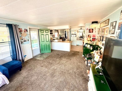 1010 S 400 E unit 39, Springville, UT 84663 - photo 3