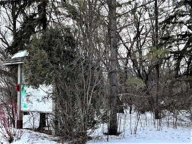 40507 Pine View Dr, Sauk Centre, MN 56378 - photo 4