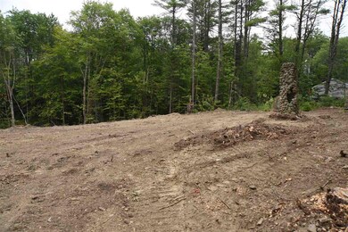 0 Peacham Rd unit 26-2 4829111, Barnstead, NH 03225 - photo 5