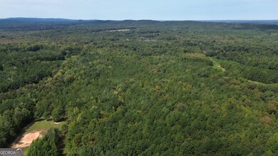 0 Piedmont Rd unit 10600733, Barnesville, GA 30204 - photo 7