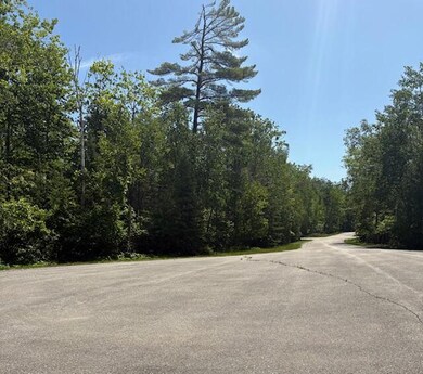 Lot 15 Tip Top Ct, Presque Isle, MI 49777 - photo 5