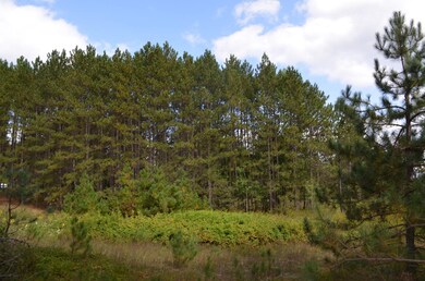 Parcel B Walleye Way, Tomahawk, WI 54487 - photo 7