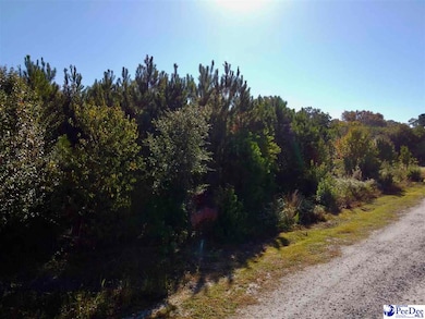 Lot 13 Shorebird Ln, Florence, SC 29501 - photo 4