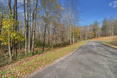 Lot 14 Highpoint Ridge Ct, Ellijay, GA 30536 - photo 6