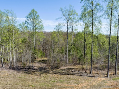 0 Cherokee Path Jasper Highlands Lot Pho