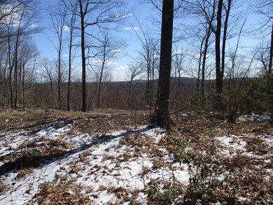 5 Isaac Frye Hwy, Wilton, NH 03086 - photo 6