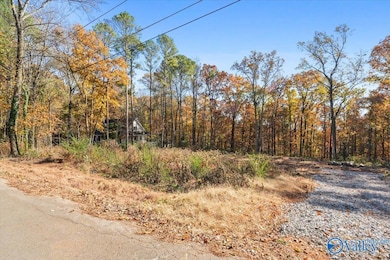 234 Brentwood Ln, Madison, AL 35758 - photo 3