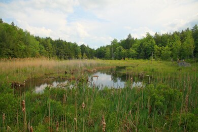 Marsh middle