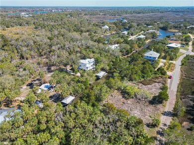 12193 W Bald Eagle Ct, Crystal River, FL 34429 - photo 5