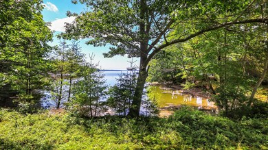 02_DJI_0124_copy_DxO_mls