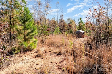 13562 Smithford Rd, Hickory Grove, SC 29717 - photo 4