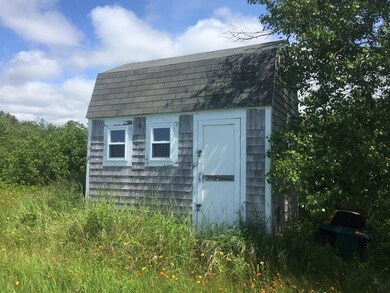 Shed
