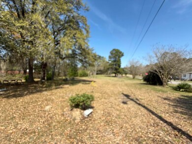 376 Bryants Landing Rd, Conway, SC 29526 - photo 3