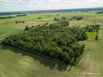 14667 Tripp