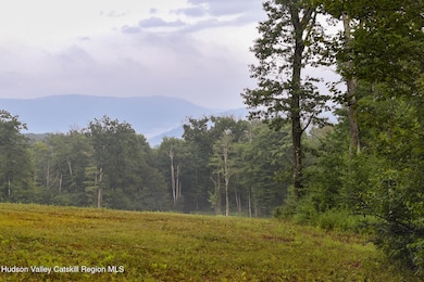 120 Route 203, Austerlitz, NY 12017 - photo 4