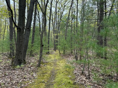 0 Critter Trail unit Parcel C, Filer Charter Township, MI 49660 - photo 5