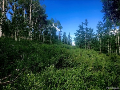 View looking Northeast from homesite