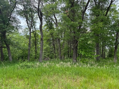 TBD Pawnee Cir, Breezy Point, MN 56472 - photo 2