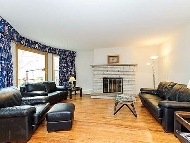 1041 Gunderson Ave, Oak Park, IL 60304 - photo 6