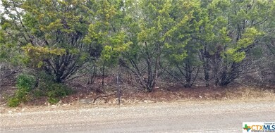 16004 Salado Dr, Temple, TX 76502 - photo 4