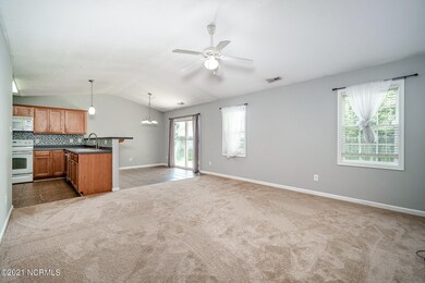 103 Cona Ct