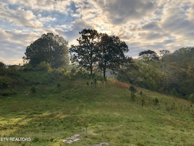 0 Thorn Grove Pike unit RTC2865121, Strawberry Plains, TN 37871 - photo 3