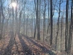 528 Early Deitz Rd, Sylva, NC 28779 - photo 3