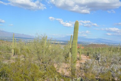 Broken Spring 9-11-19 (6)