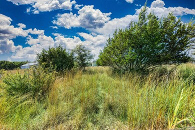 104 Capt Castro, Blanco, TX 78606 - photo 5