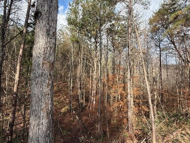 Lot 3 Parksville Rd, Benton, TN 37307 - photo 7