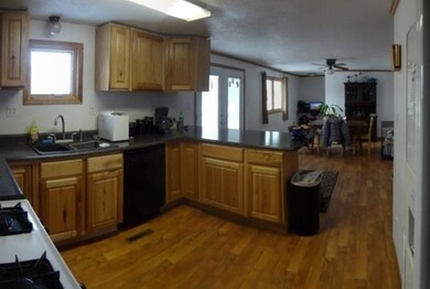 Kitchen View 2