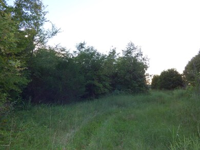 0 Bethel Church Rd, Mount Washington, KY 40047 - photo 4