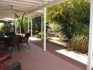 Backyard Oasis
