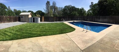 Back yard 1