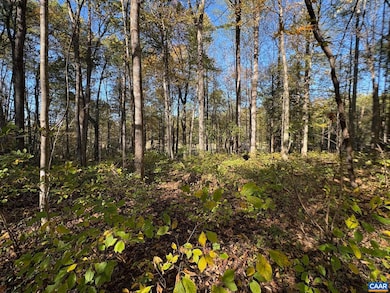 Lot D, TM 24-30 W Hoover Rd, Reva, VA 22735 - photo 7