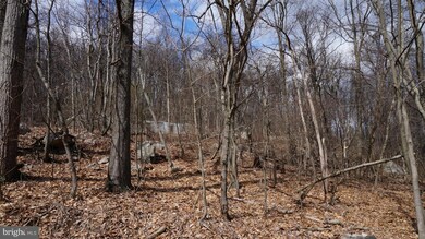 15 Roberts Ln, Berkeley Springs, WV 25411 - photo 4