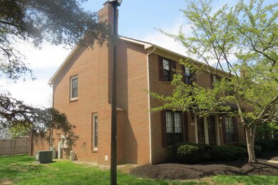 01 TREEL FRONT