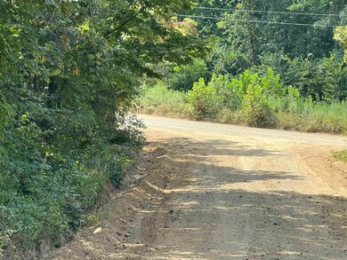 528 Black Oak Rd, Mammoth Spring, AR 72554 - photo 7