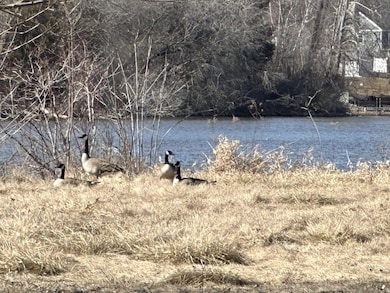 20240319184302025157000000-o