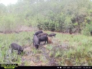 0 County Line Rd unit 18864854, Lee, FL 32059 - photo 2