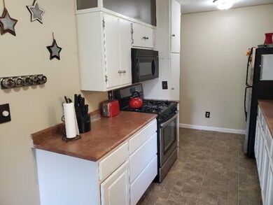 315 N Jackson St SE, Lowell, MI 49331 - photo 7