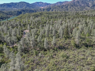 12694 Walker Mine Rd, Redding, CA 96003 - photo 4