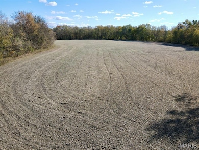 00 Patricia Rd, Germantown Township, IL 62245 - photo 2