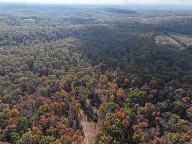 0 Tower Rd unit Lot WP001 22284674, Big River Township, MO 63628 - photo 6