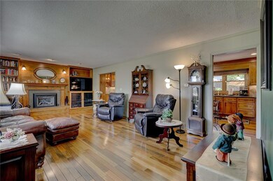 living room - walnut flooring
