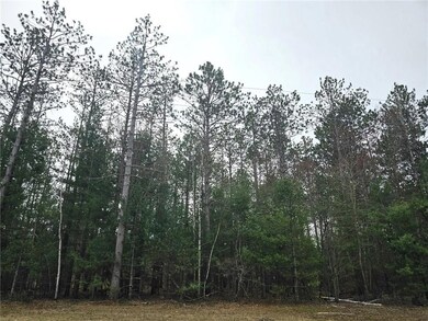 XXX Wisconsin 35, Webster, WI 54893 - photo 2