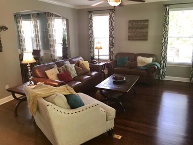 Large living area with lots of light.