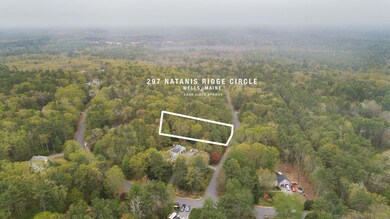 297 Natanis Ridge Rd, Wells